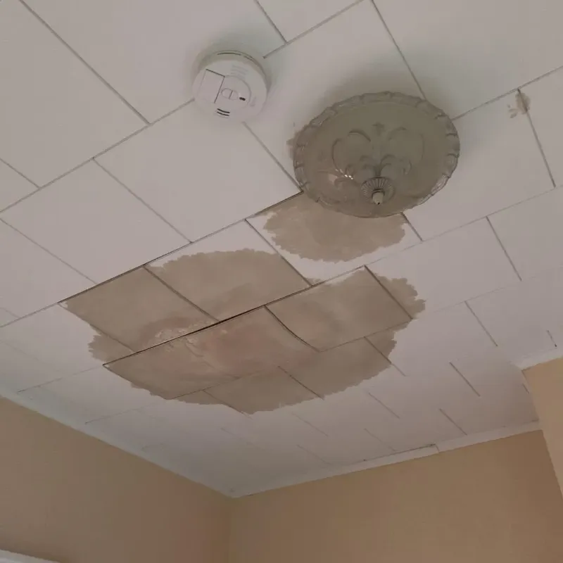 Ceiling Water Damage Repair in Benton County, IN