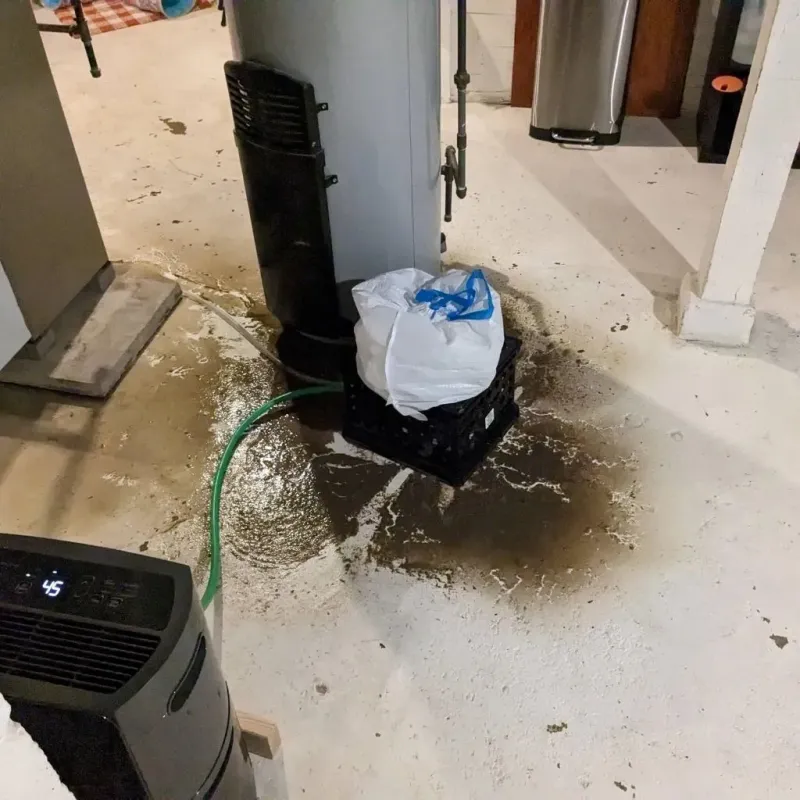Sewage Backup Cleanup Service in Benton County, IN